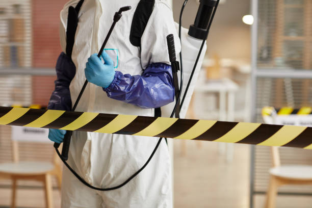 Professional Sewage Cleanup technician working in Sunol, CA